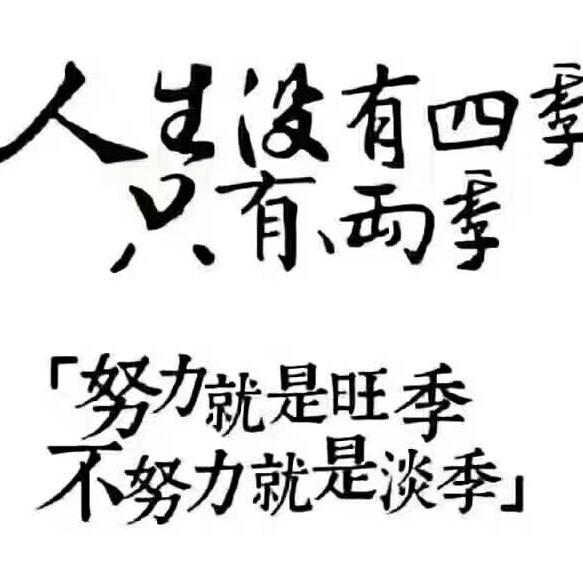 山有木兮木有枝