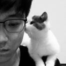 它集宠物－李忠霖