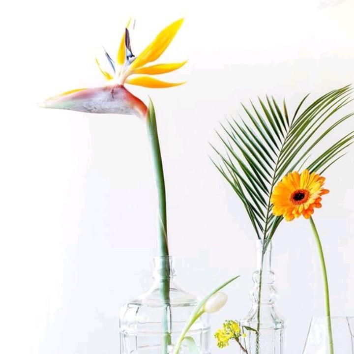 四季鲜花（向阳西路店）