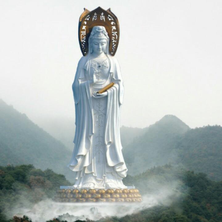 专业机器钉盘扣