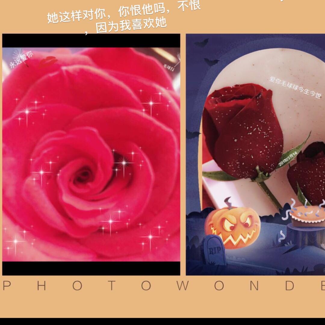 XN等你等了那么久