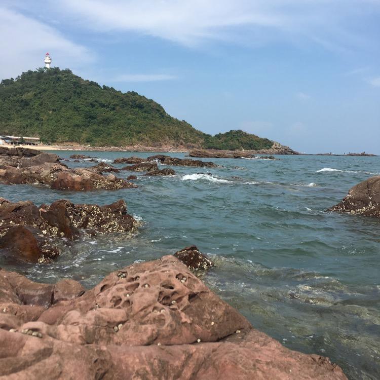 杠上开花专业户