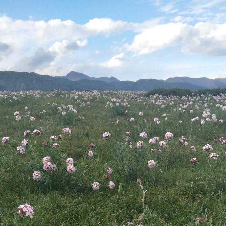 海纳百川