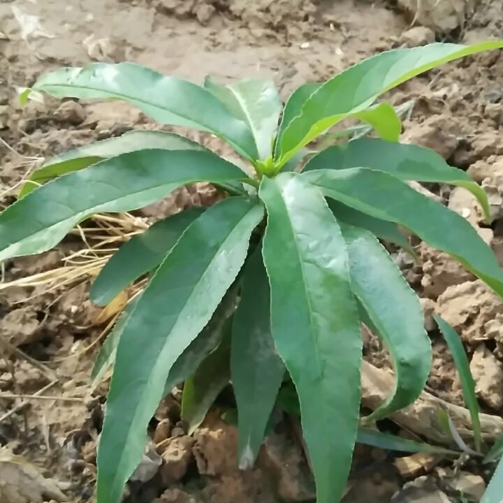 慌你玩