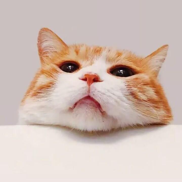 阿旭