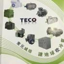 东元电机（TECO）