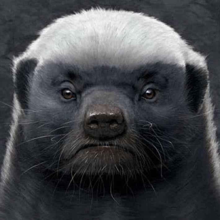 妖不到台_✨✨✨@抖音