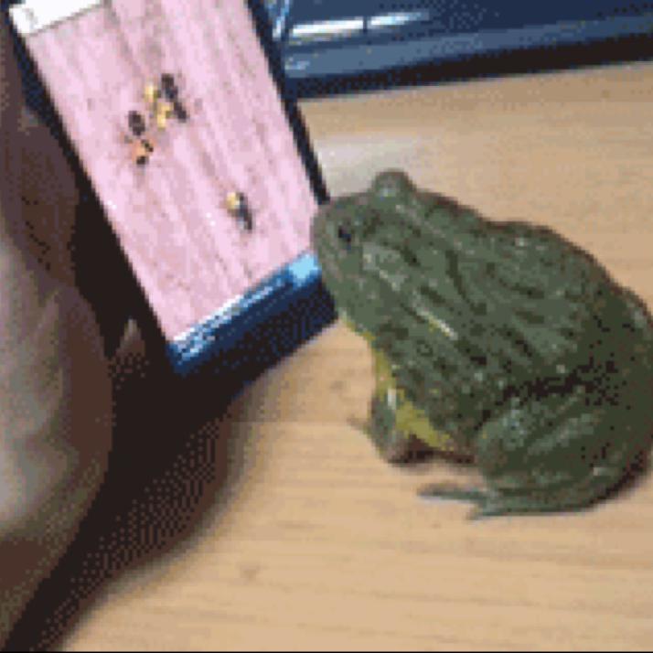 王星辉