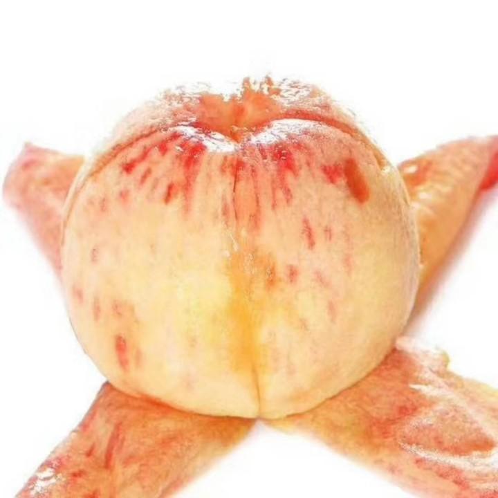 龍城小王