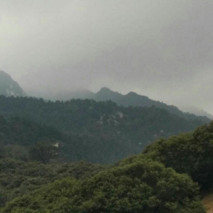 望海