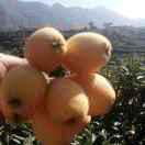 ^_^敏🍀ꦿઈ訫想ᩚ💞事陈ᩚওꦿ۵