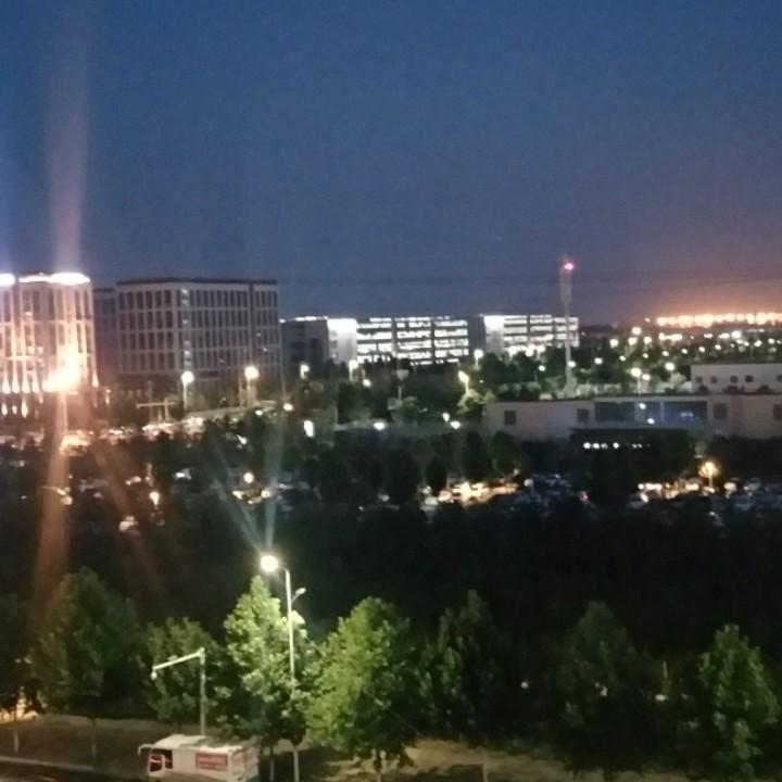小白