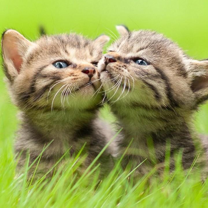 自由自在的生活