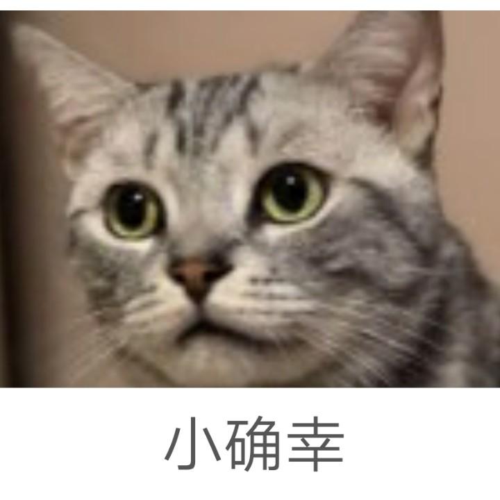 猪猪江