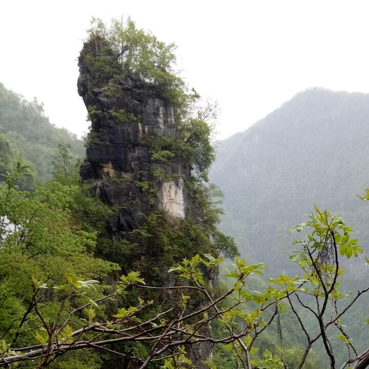 风沙🌙