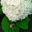 🍃晴天儿.韩沛妍