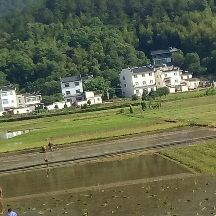 黑胖妞💋
