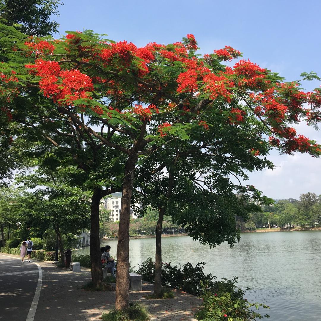 手机用户71640555477