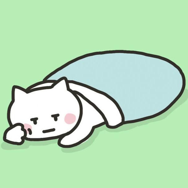 不会飞的猪