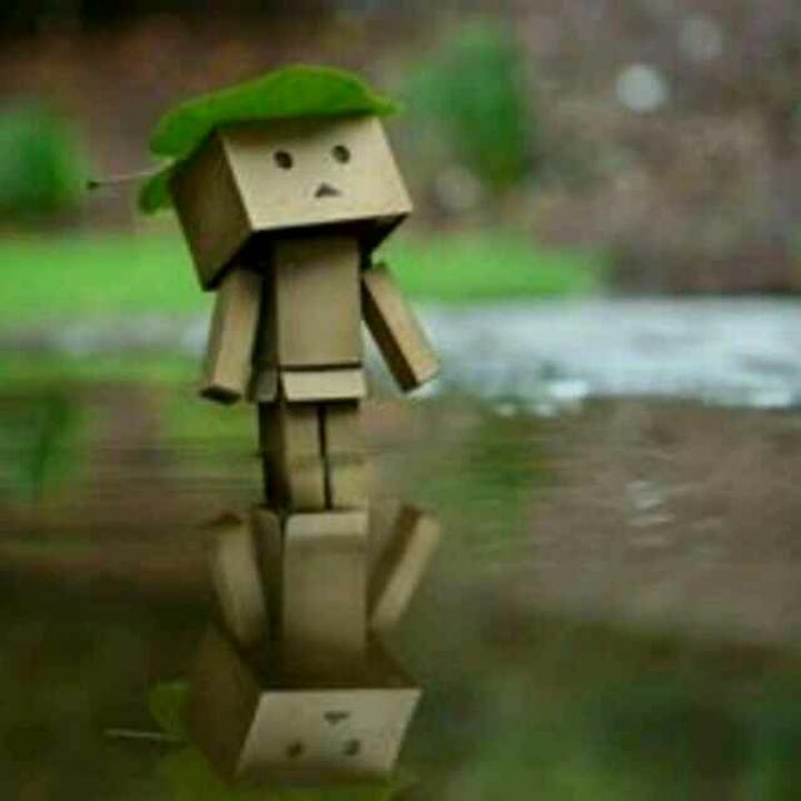 扎西布柒
