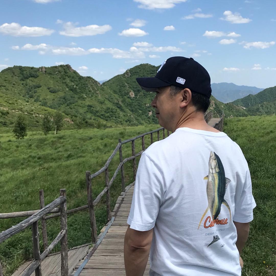 月下听松