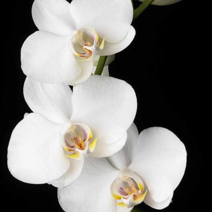 爱谁谁！(•̀⌄•́)