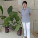 安道养老院护工