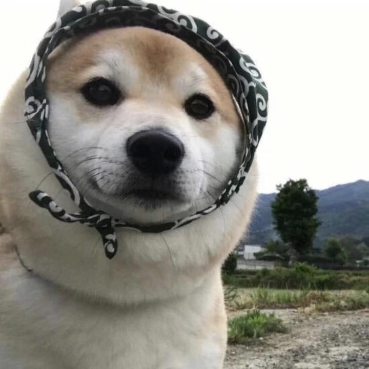 悔意回忆回不去
