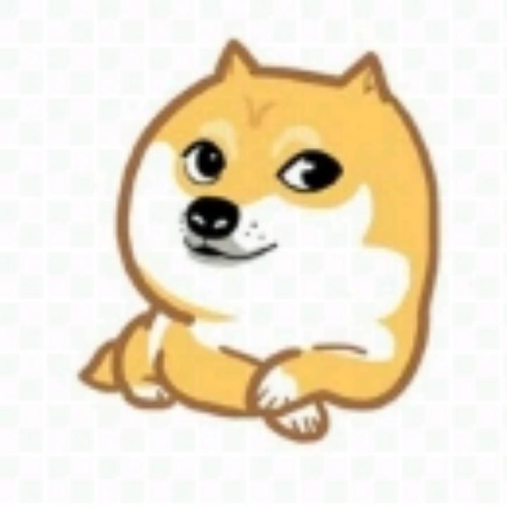 康聪明