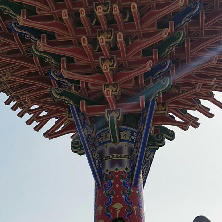 用户5392261452882lyj