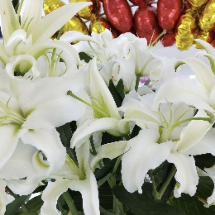 静❤️