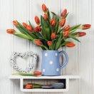 开心每一天小邹