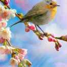 阿婆寨景区～恍若星辰