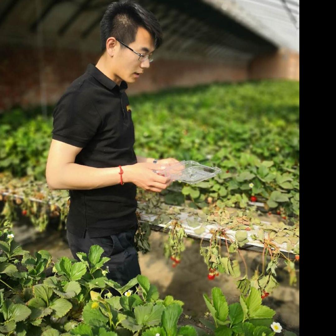 天津河西～强心探房