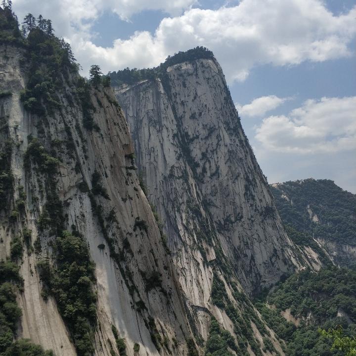 如风  ～ 难忘初心