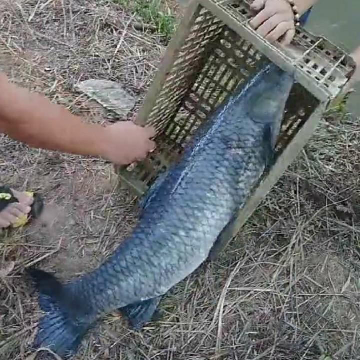 休闲垂钓