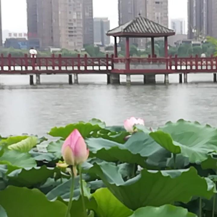 墨润坊