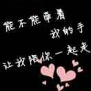朱湖轮胎大全