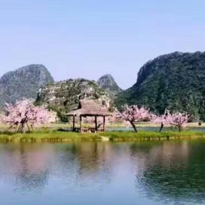 用户晓9217663657952