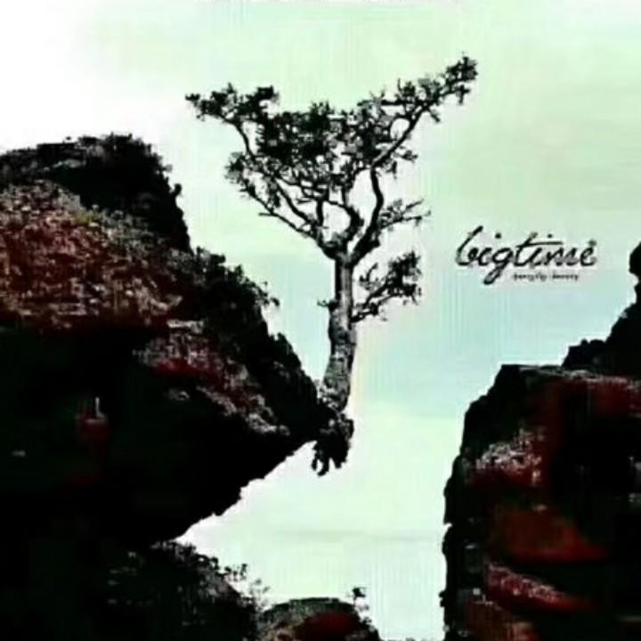 做木材我是认真的