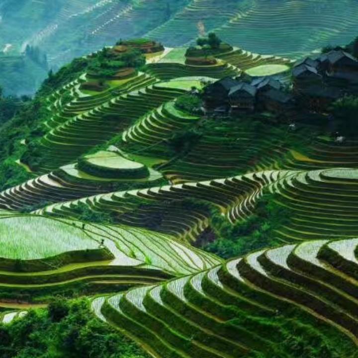 茶叶包装，勐库木盒厂