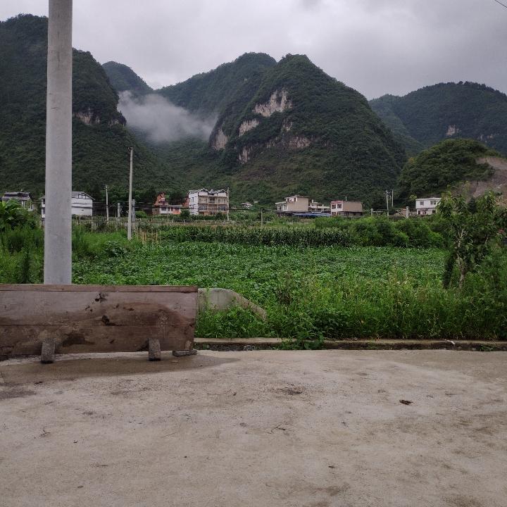 心如止水……