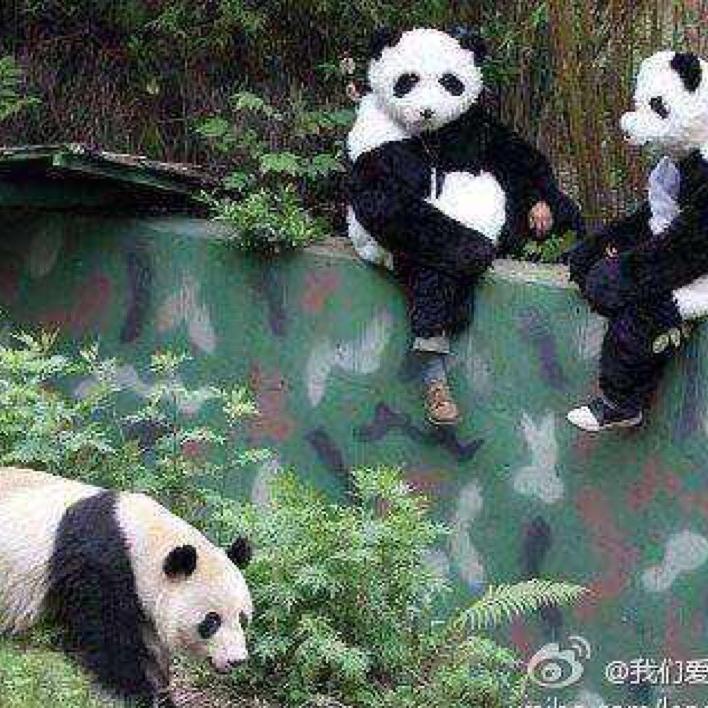 巴中150挖机出租