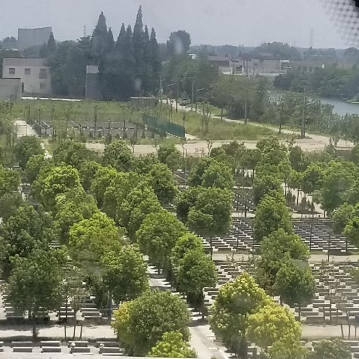 王记烧饼