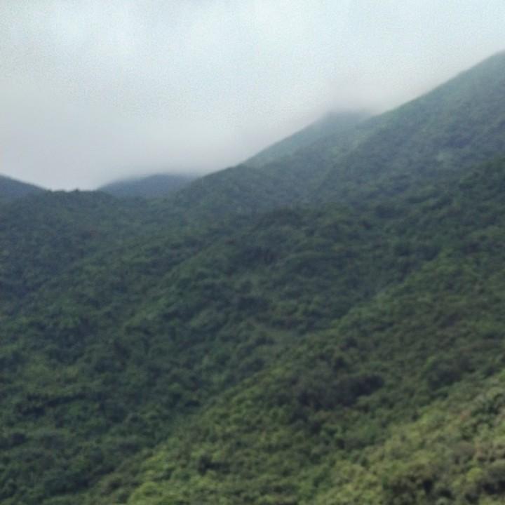 小二哥