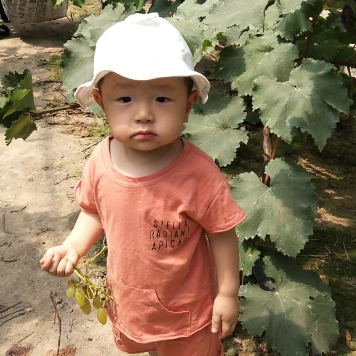 用户胖姐7719947983281