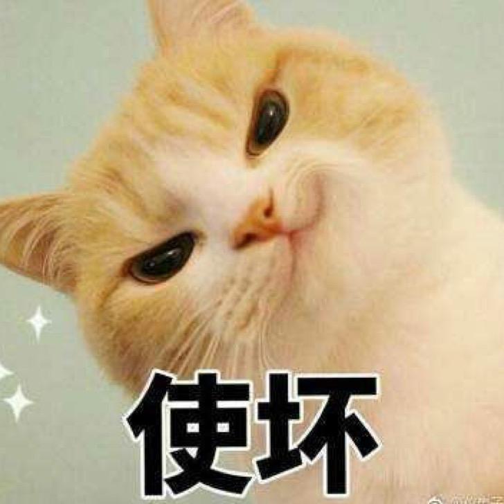 跟着喵逛吃逛吃