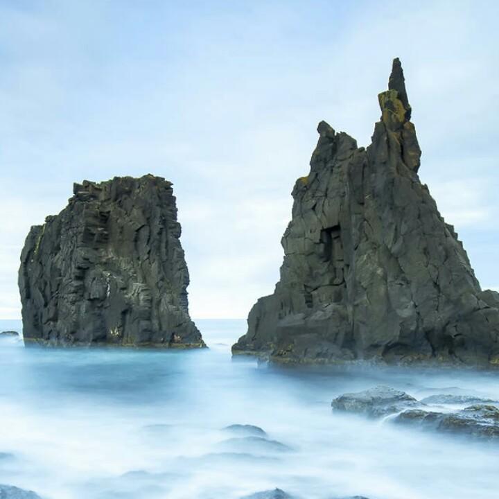 攸攸税月
