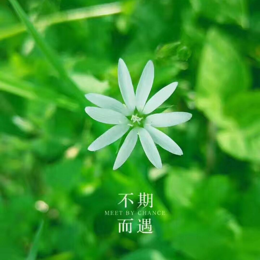 凯丽芬服饰工厂店