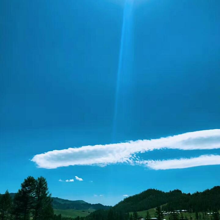 雪域狼王
